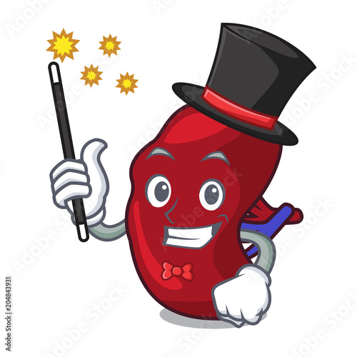 Magician spleen mascot cartoon style