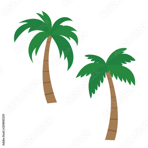 Set of vector palm illustrations, isolated on white background - Flat