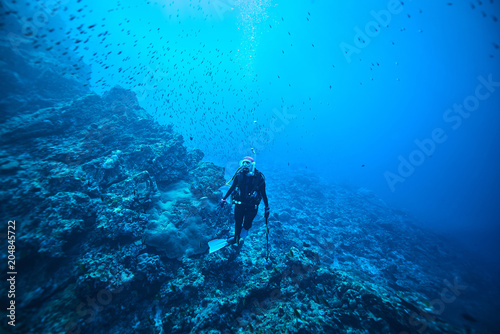 Wallpaper Mural scuba driving Torontodigital.ca