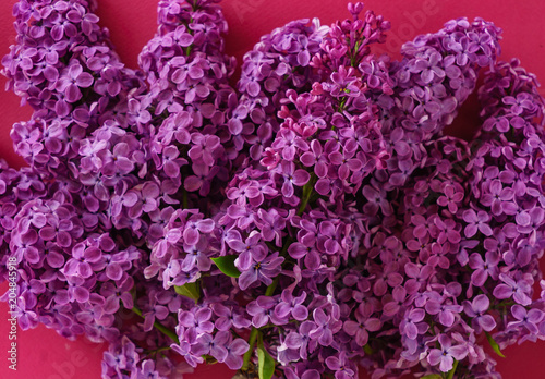 nice lilac flowers