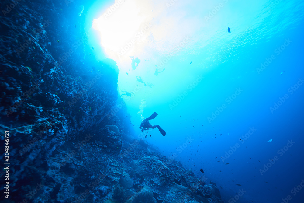 Obraz premium scuba driving