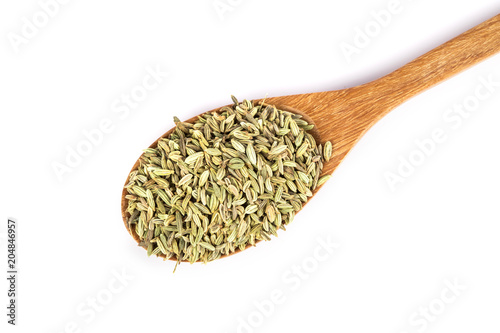 close up the fresh fennel seed on white background