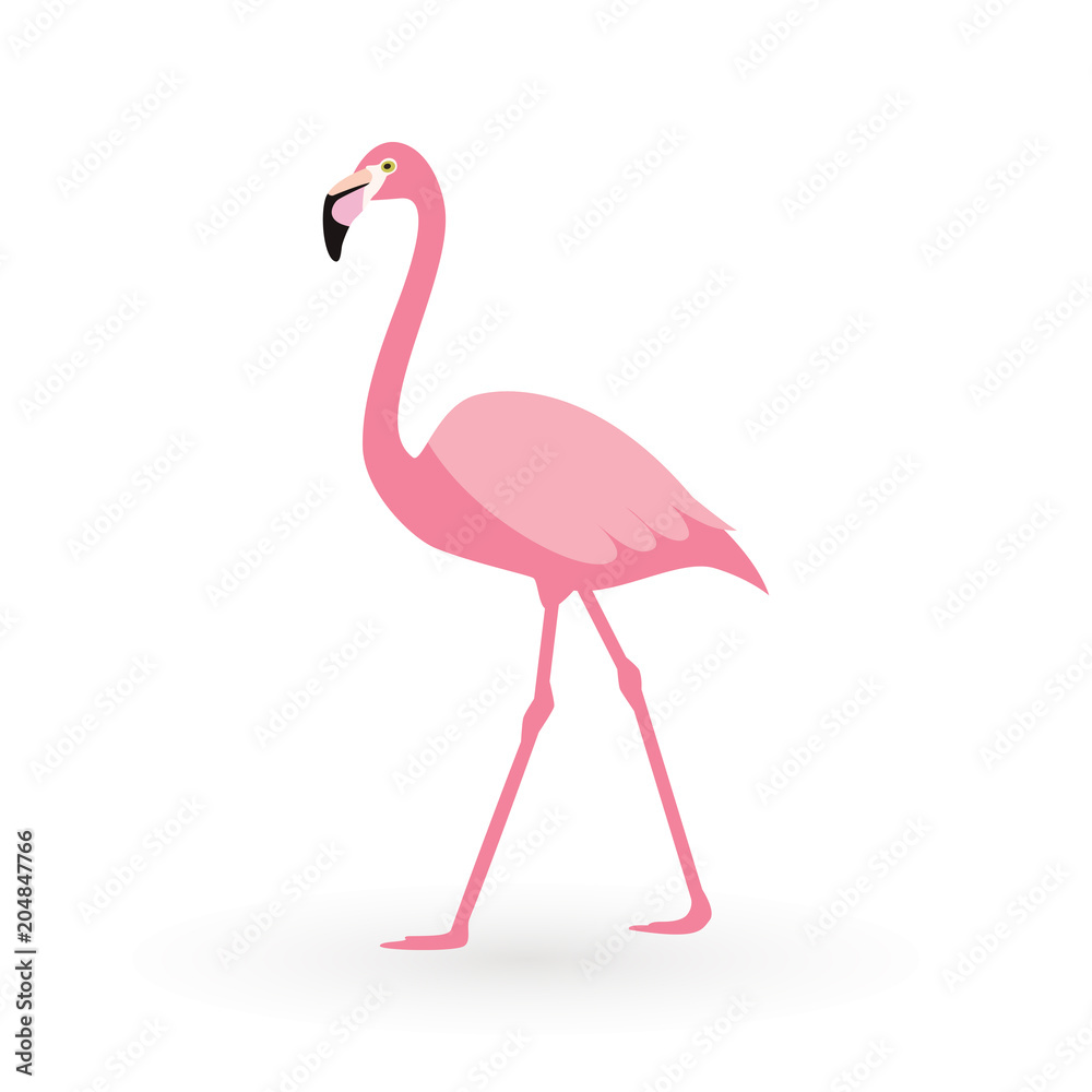 Fototapeta premium Pink flamingo . Vector illustration .Isolated on white background. Bird illustration design on background.