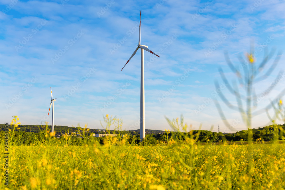 Windrad auf einem gelben Rapsfeld mit blauem Himmel Windrad auf einem gelben Rapsfeld mit blauem Himmel