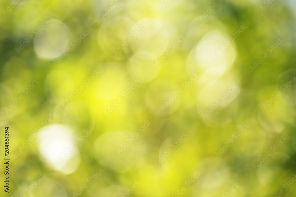 Obraz premium Blurred yellow green background.