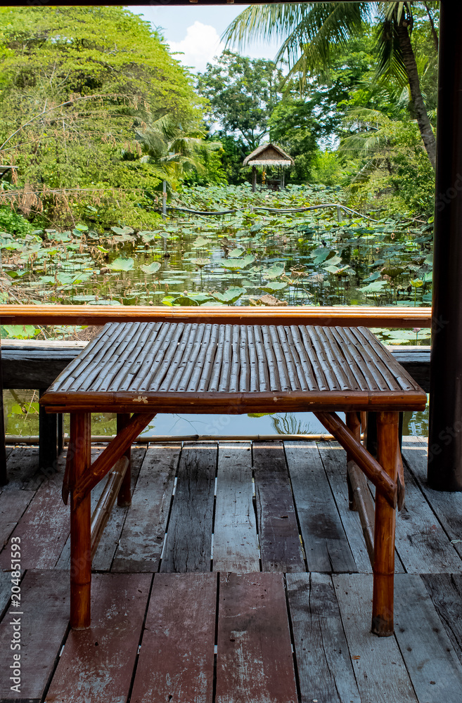 Casual atmosphere with views of trees and lotus ponds.