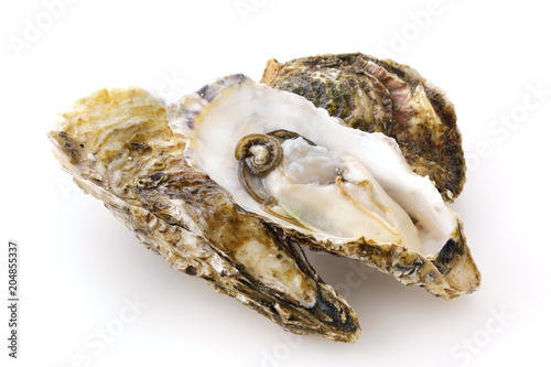 生牡蠣　Oysters