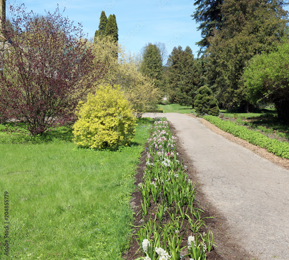 Road conducts to the spring  European garden.