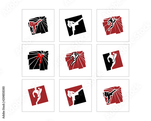 martial art kick silhouette image vector icon logo set