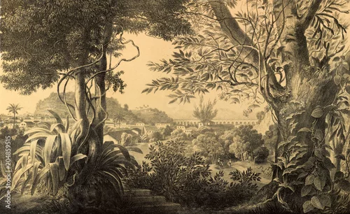 Obraz Natura Ameryki Południowej.