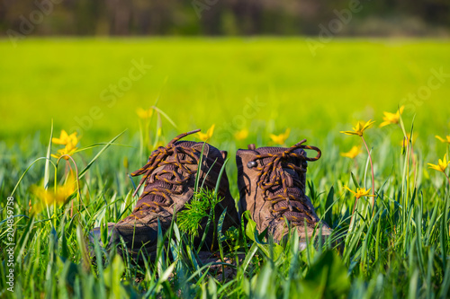 closeup old touristic boots among a green field with flowers