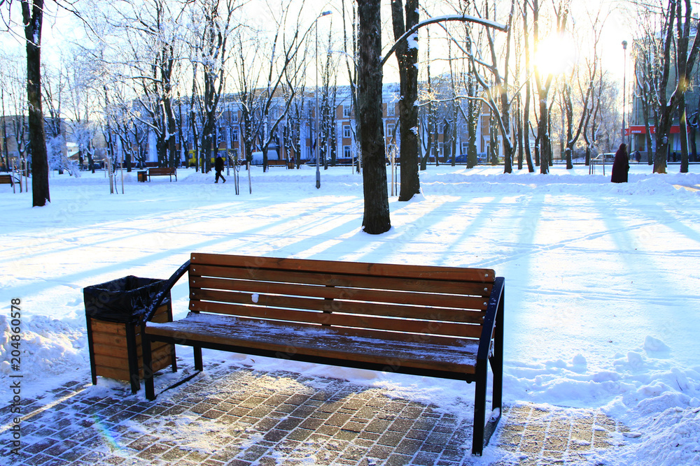 a bench in the winter city park