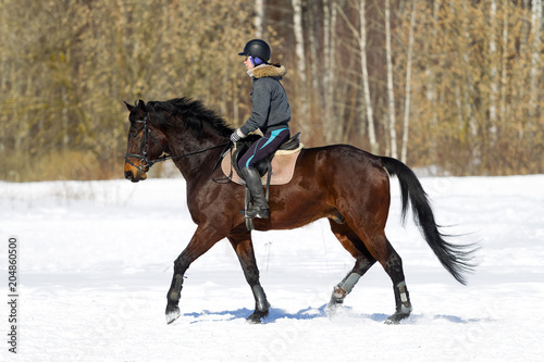 Horseback riding. A woman rides a horse. Training. Hippodrome. Sunny day © oleghz