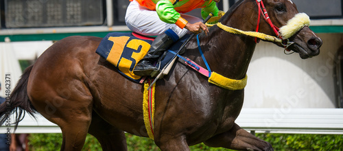 Horse speed in Horse racing on the racetrack