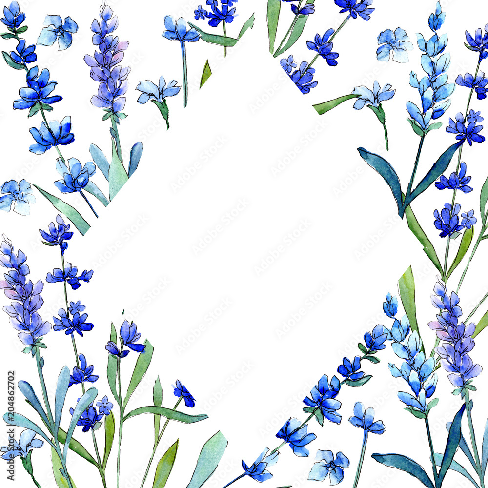 Blue lavender. Floral botanical flower. Wild spring leaf wildflower frame in a watercolor style. Aquarelle wildflower for background, texture, wrapper pattern, frame or border.