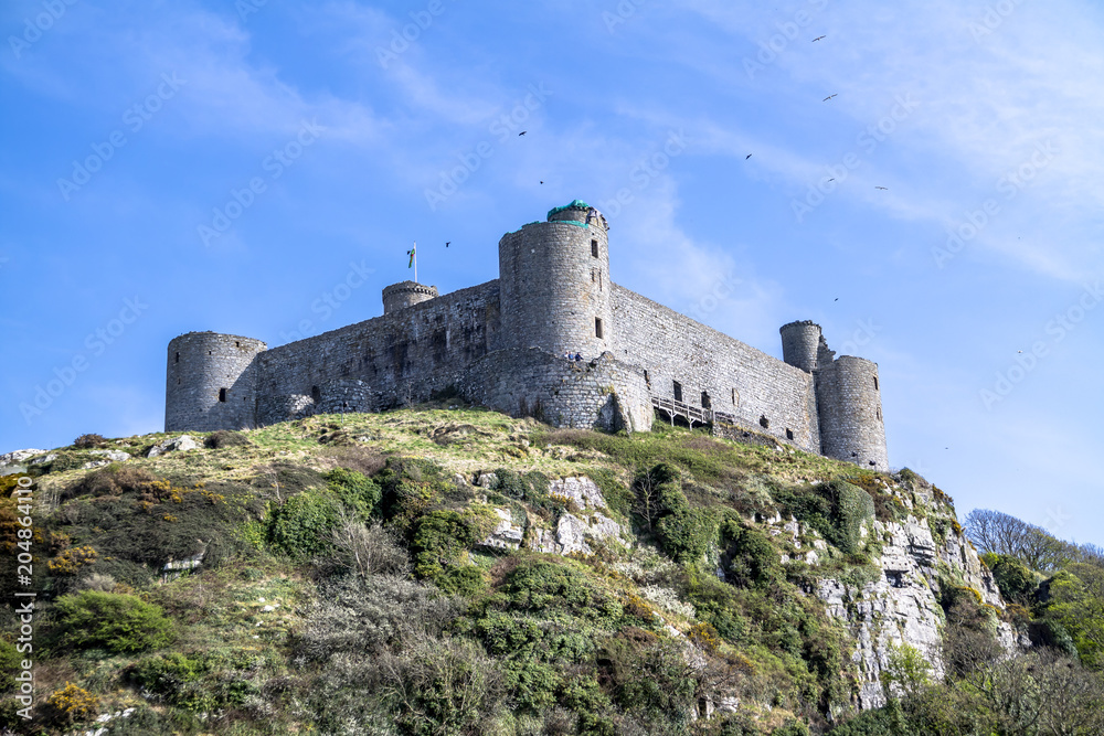 The skyline of Harlech with it's 12th century castle, Wales, United Kingdom