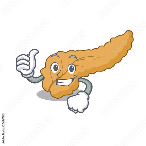 Thumbs up pancreas character cartoon style photo