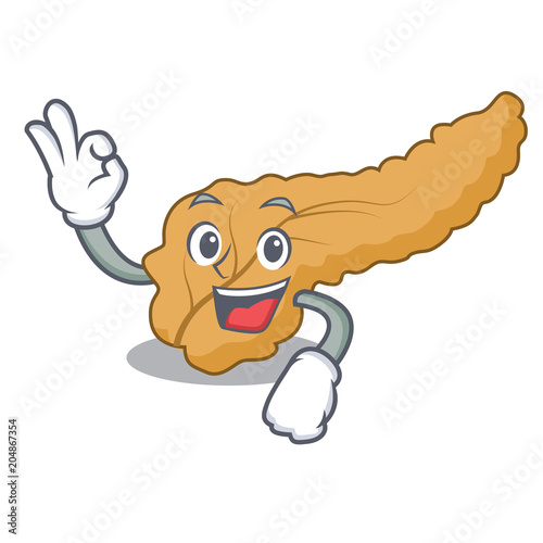 Okay pancreas character cartoon style photo