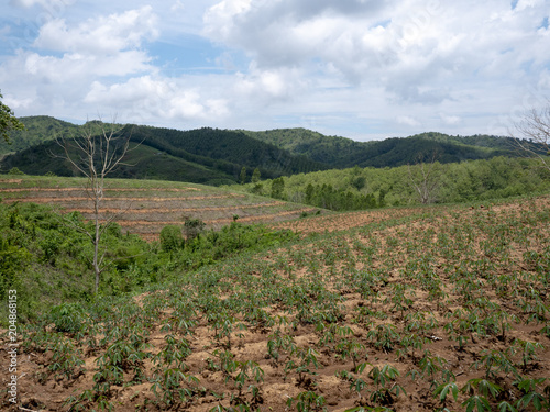 View of the farmland