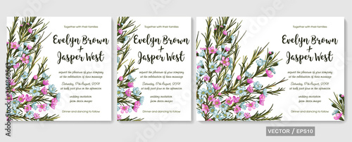 Vector floral watercolor design: pink and blue chamaelaucium (wax flower) card set. Background for banners, invitation, greeting cards, flyers, wedding menu, save date