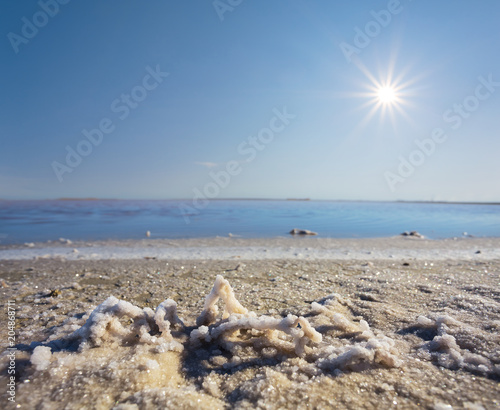 coast of a saline lake at the hot summer day