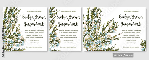 Wedding invite invitation menu card vector floral greenery design: chamaelaucium (waxflower) blue and white flowers pattern. Watercolor elegant hand drawn set