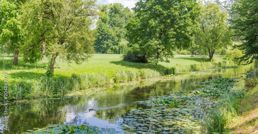 Panorama of the river in the park in summer day