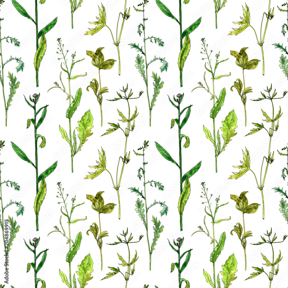 seamless pattern with flowers and plants seamless pattern with flowers and plants