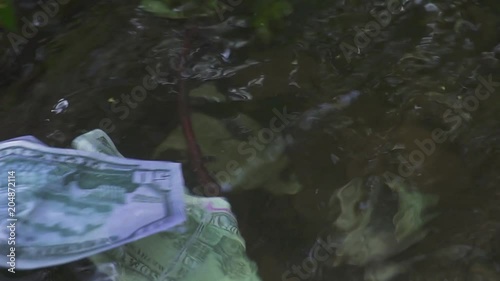 a dollar bill floats along the river. Concept on the theme of unexpected wealth photo