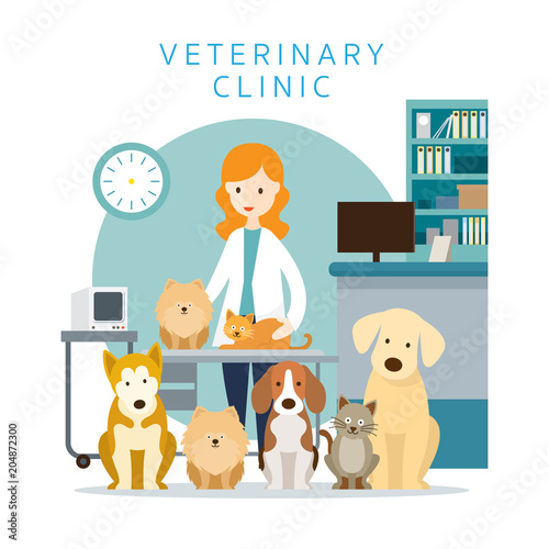 Female Veterinarian with Pets, Group of Cats and Dogs, Clinic or Hospital