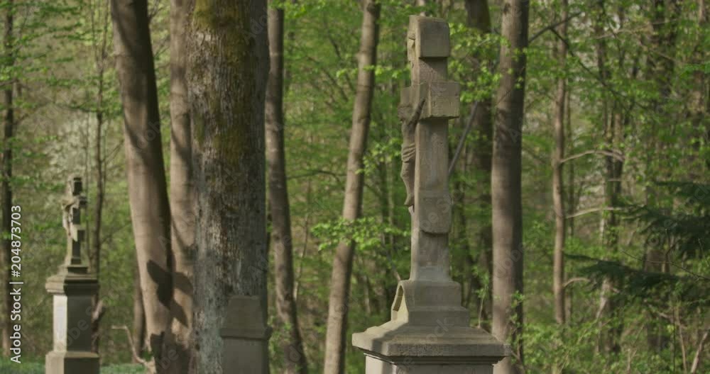 Old cemetery in the forest, tilt left, spring, 4k Old cemetery in the forest, tilt left, spring, 4k