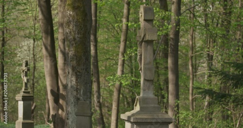Old cemetery in the forest, tilt left, spring, 4k
