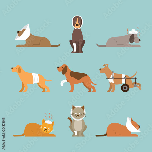 Cats and Dogs Get Sick, Injured, Hurt, Wounded, Vector Set