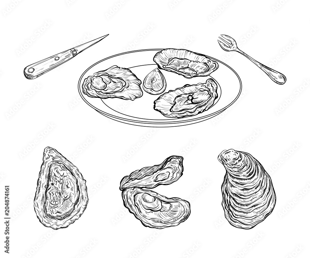 Dish with oysters and cutlery. Engraved style. Isolated on white background. Vector illustration 