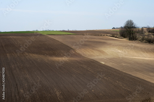 Plowed Field - Agriculture in Poland   © Maciej Sobczak