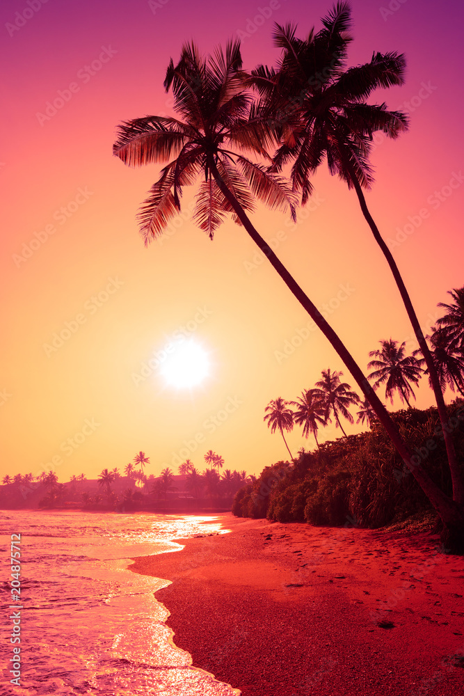 Obraz premium Palm trees on tropical beach at colorful pink tropic sunset