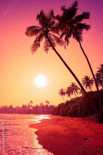Palm trees on tropical beach at colorful pink tropic sunset © nevodka.com