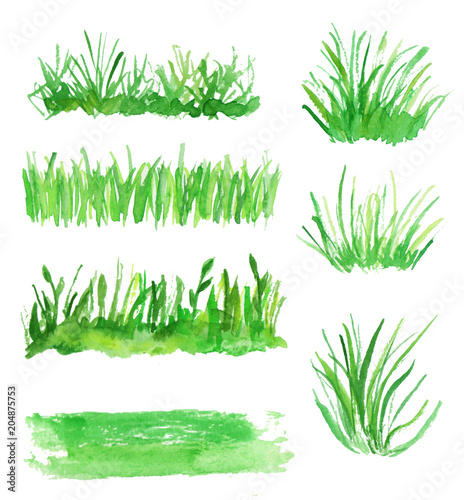 Cuadro en lienzo Watercolor set of grass. Several types of grass for design.