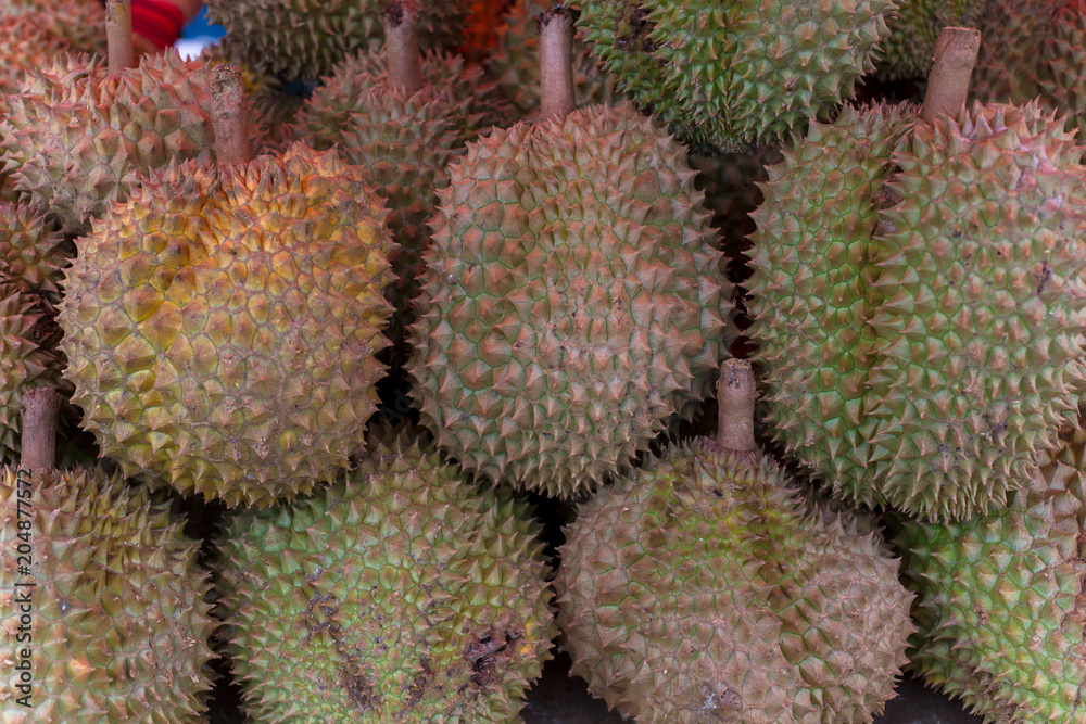 close up image of Durian, Thai traditional local fruits. Durian have sharp thorn on the outside. Durian has yellow pulp and sweet taste. Durian has strong strange weird smell. close up image of Durian, Thai traditional local fruits. Durian have sharp thorn on the outside. Durian has yellow pulp and sweet taste. Durian has strong strange weird smell.