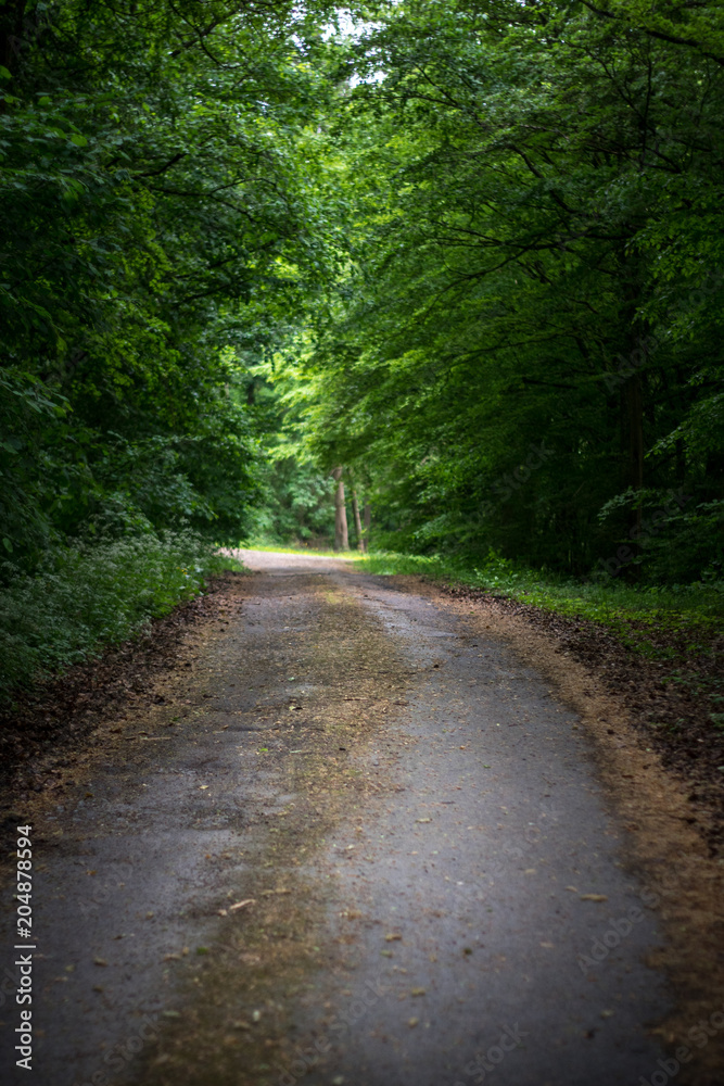 Wanderung Markusberg Trier