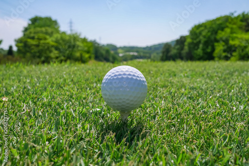 Golf Course where the turf is beautiful and Golf Ball on tee. Golf course with a rich green turf beautiful scenery.