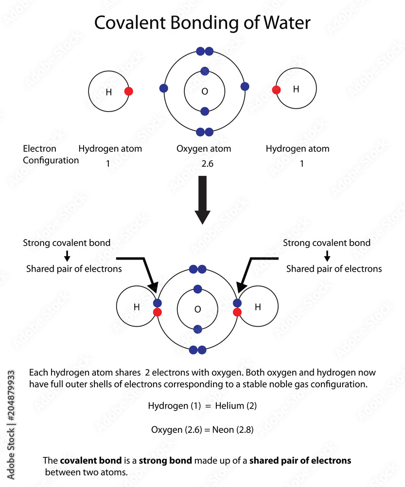 Electron Distribution Diagram Of Water