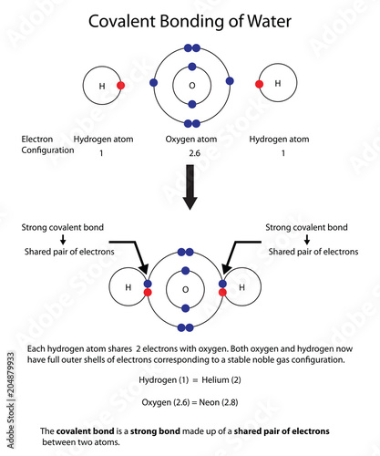 Diagram to illustrate covalent bonding in water with a fully labelled diagram.