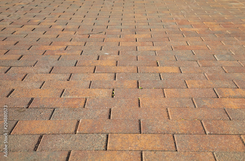 concrete tile for garden paths in warm colors. perspective view