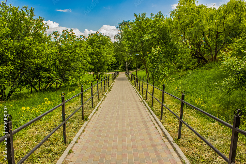 concrete road in beautiful spring park