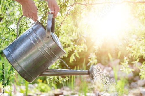 Unrecognisable woman watering flower bed using watering can. Gardening hobby concept. Flower garden image with lens flare. photo