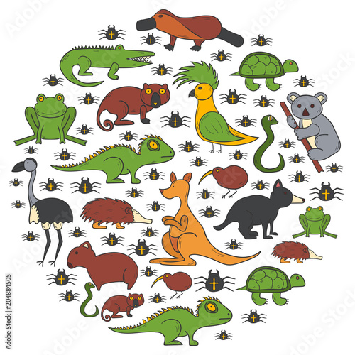 Vector hand drawn australia animals background