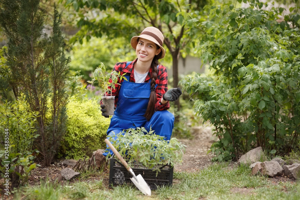 woman gardener holding seedling of tomato woman gardener holding seedling of tomato