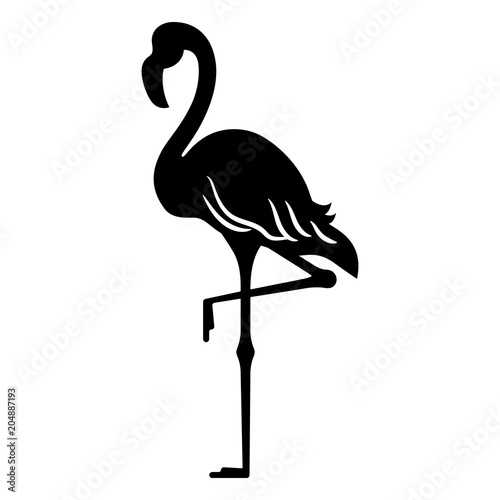 Flamingo black silhouette, standing on one leg, isolated.
