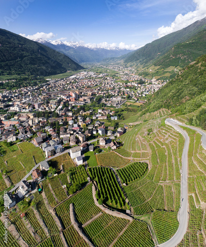 Vineyards and terracing. Valley of Valtellina and city of Tirano